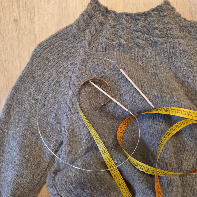 Werbeplakat für den Raglan Workshop der Wollkultur in Wittenberg am 27. September 2025. 
            Es zeigt einen Raglan-Pullover, eine Rundstricknadel und ein Massband.